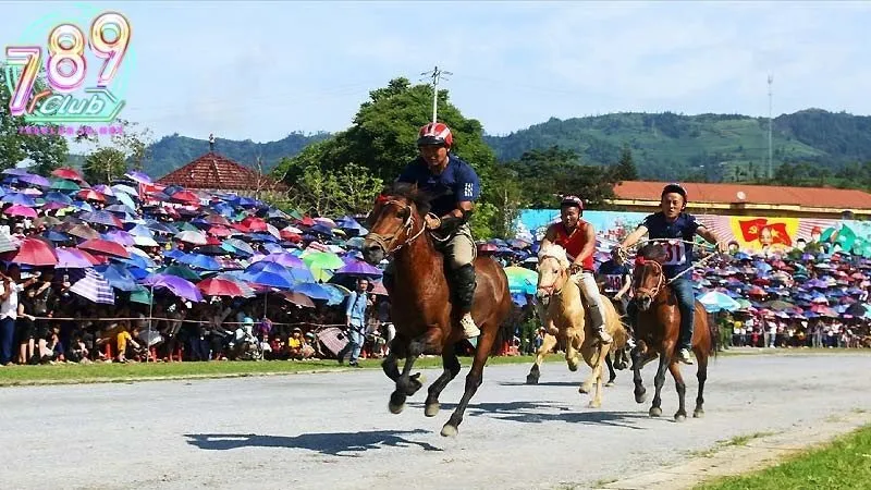 Chiến thuật và kinh nghiệm cá cược đua ngựa bách thắng